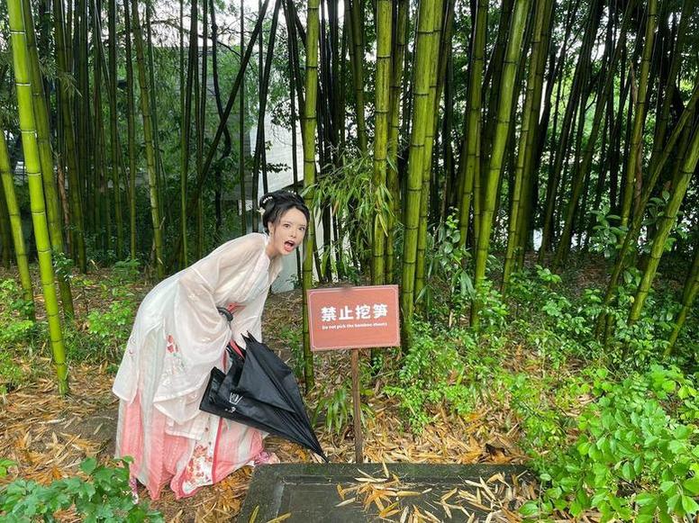 夏小秋秋和柯基的原图合集：那些珍贵的照片，都在这里等着你