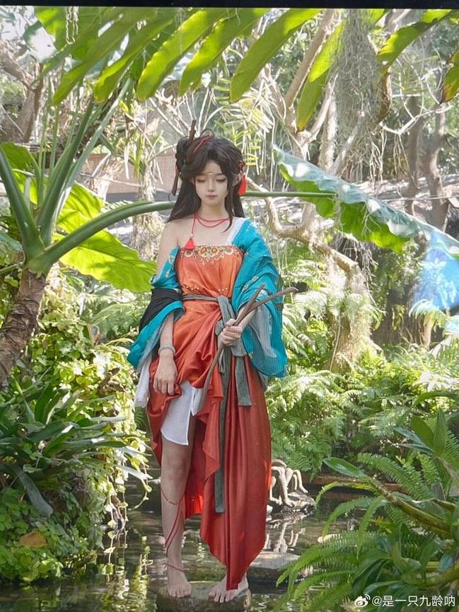 这张是一只九龄图片，是龙妆最喜爱的美图之一。
