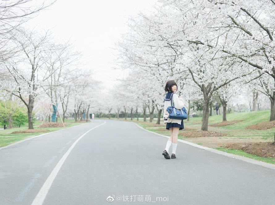 王胖胖u特刊：摄影艺术的代表作品合集